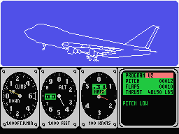 747 flight simulator